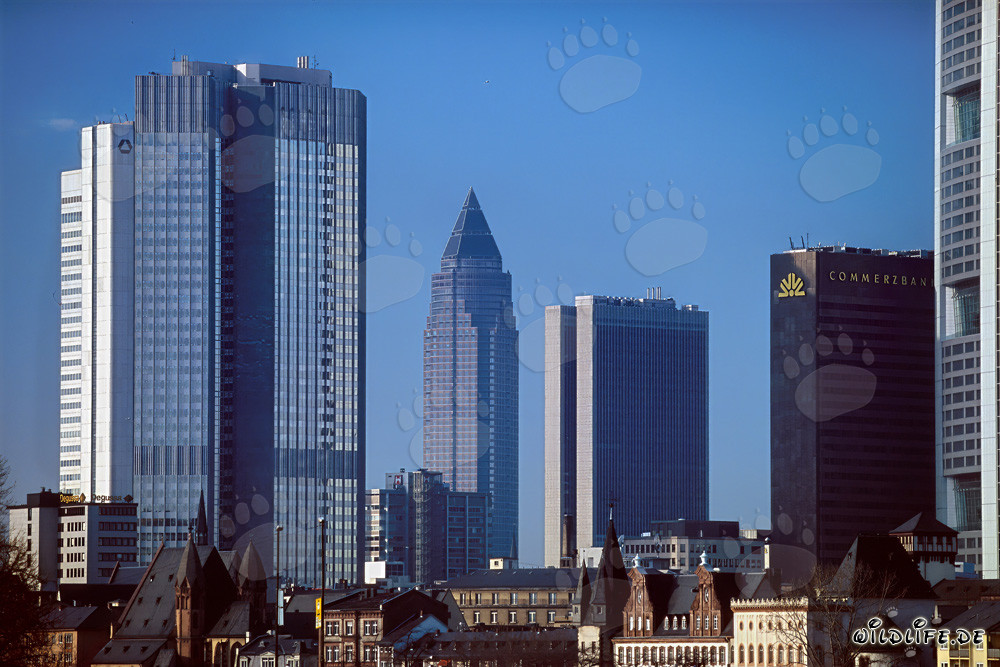 La imponente línea del horizonte de Fráncfort al atardecer