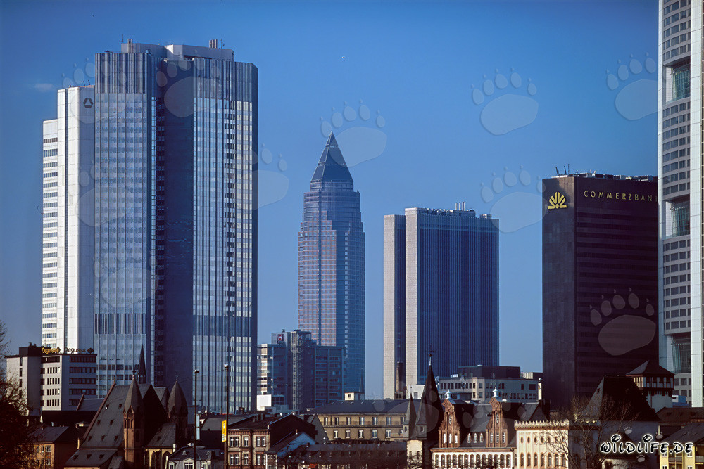 Frankfurts imposante Skyline bei Sonnenuntergang