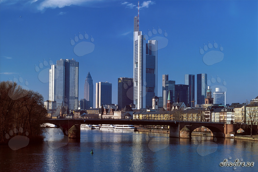 La magnifique skyline de Francfort-sur-le-Main
