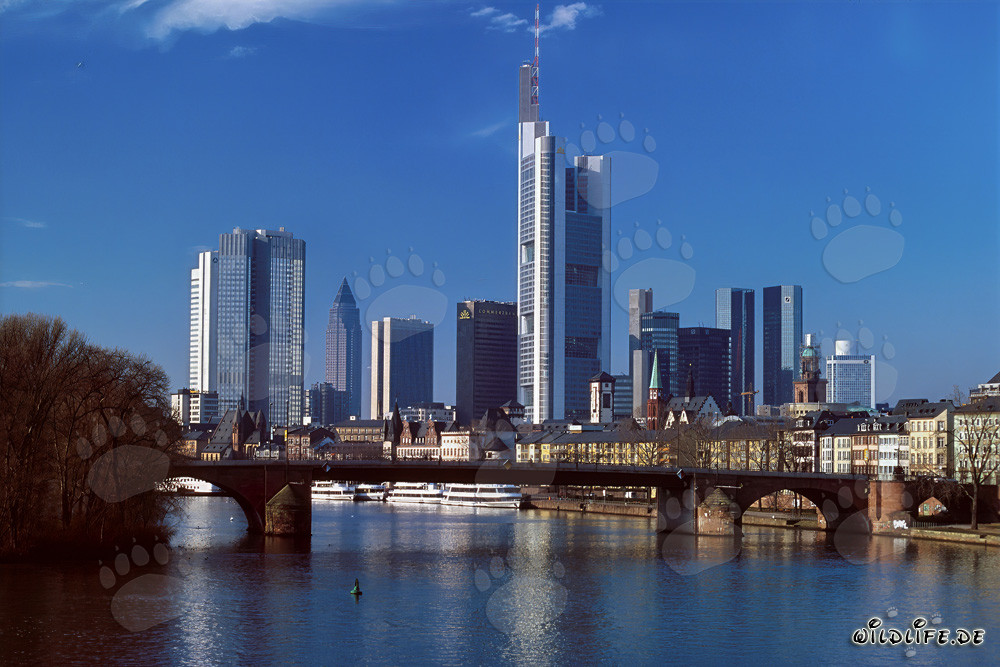 L'imponente skyline di Francoforte sul Meno