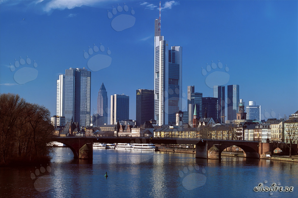 The impressive skyline of Frankfurt am Main