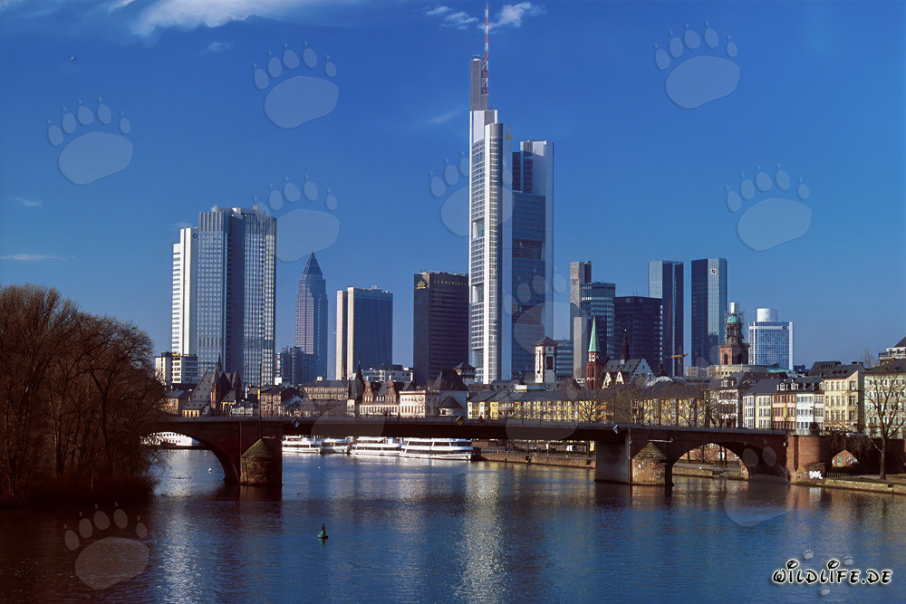Die imposante Skyline von Frankfurt am Main