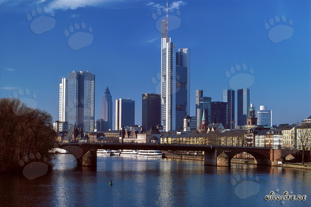 La impresionante skyline de Fráncfort del Meno