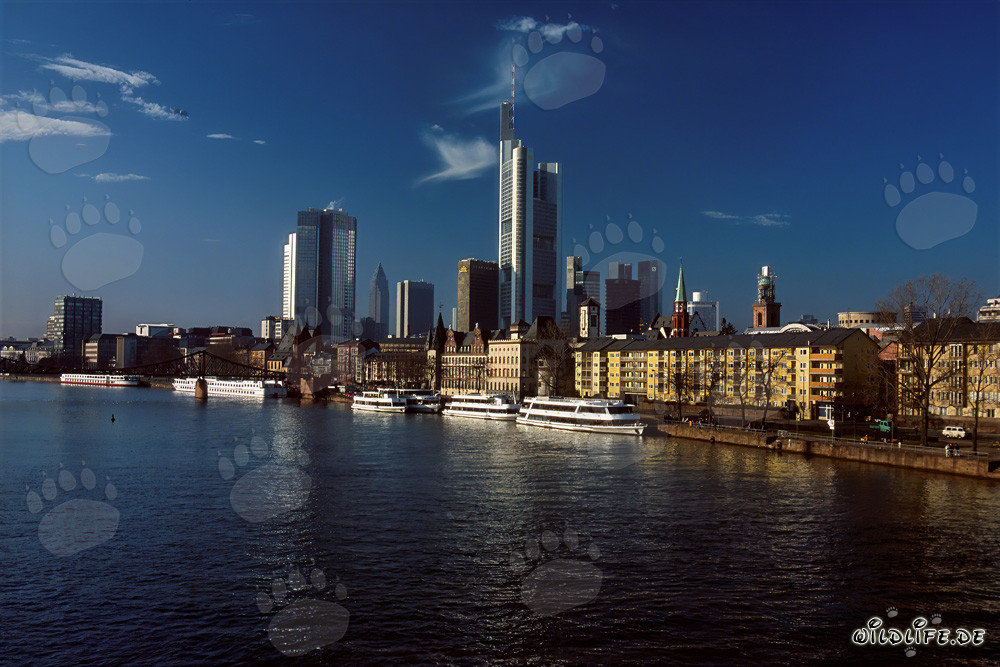 Impressionnante skyline de Francfort-sur-le-Main avec des gratte-ciel