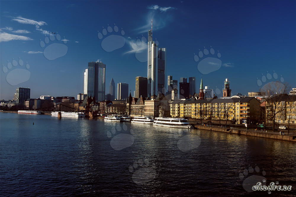 Impresionante skyline de Fráncfort del Meno con rascacielos