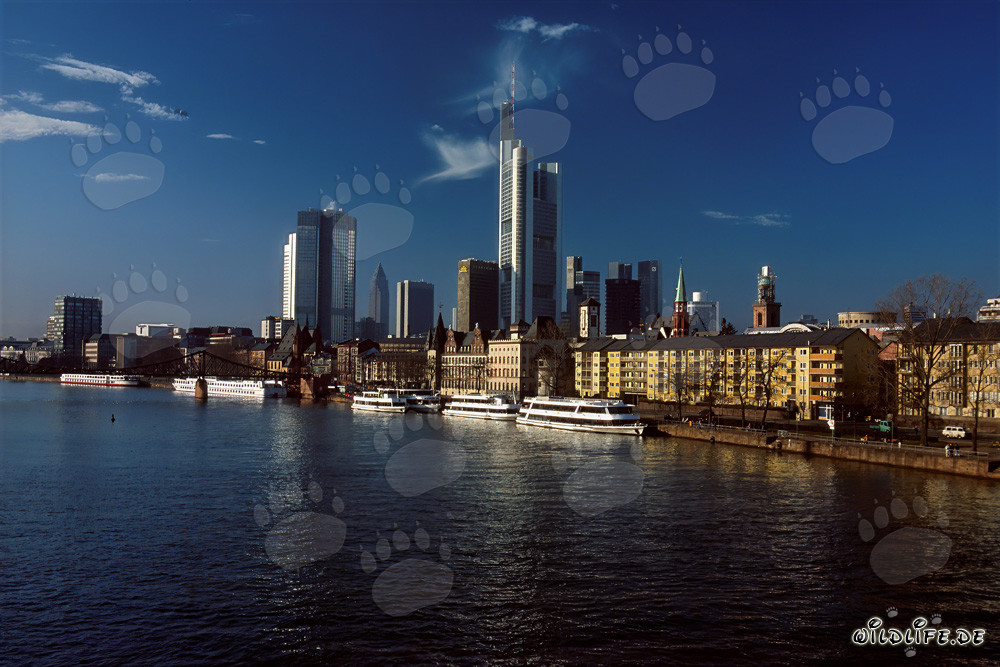 Imposante Skyline von Frankfurt am Main mit Wolkenkratzern