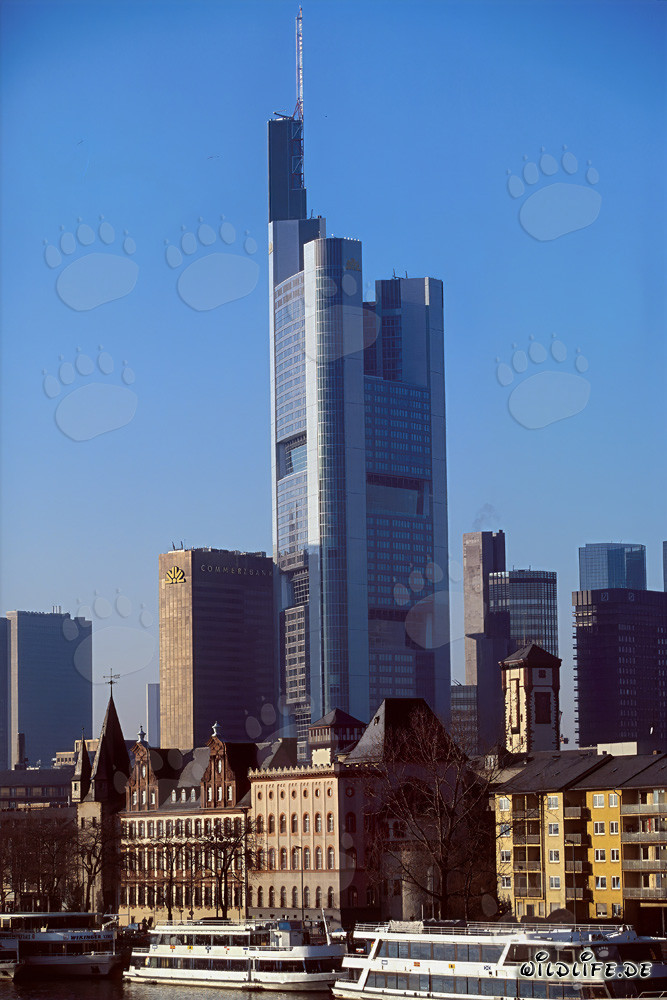 El imponente rascacielos de la Commerzbank en Fráncfort