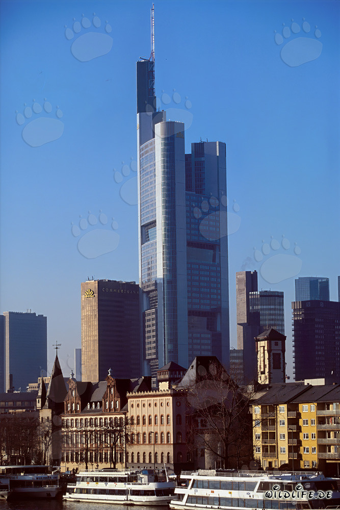 Das imposante Commerzbank-Hochhaus in Frankfurt