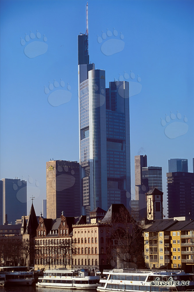 L'imponente grattacielo della Commerzbank a Francoforte