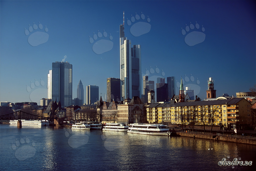 Impresionante skyline de Fráncfort