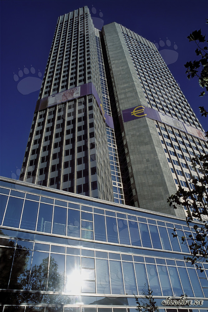 Banca Centrale Europea (BCE) - Architettura della Torre Euro a Francoforte sul Meno
