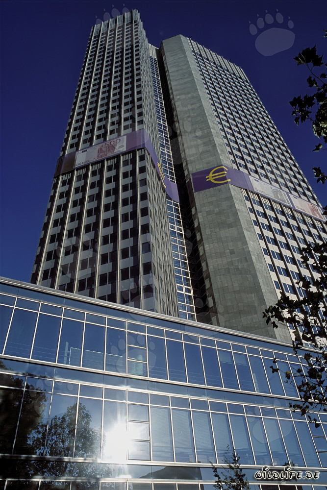 Banco Central Europeo (BCE) - Arquitectura de la Torre Euro en Frankfurt del Meno