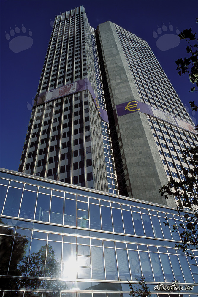 Banque centrale européenne (BCE) - Architecture de la tour Euro à Francfort-sur-le-Main