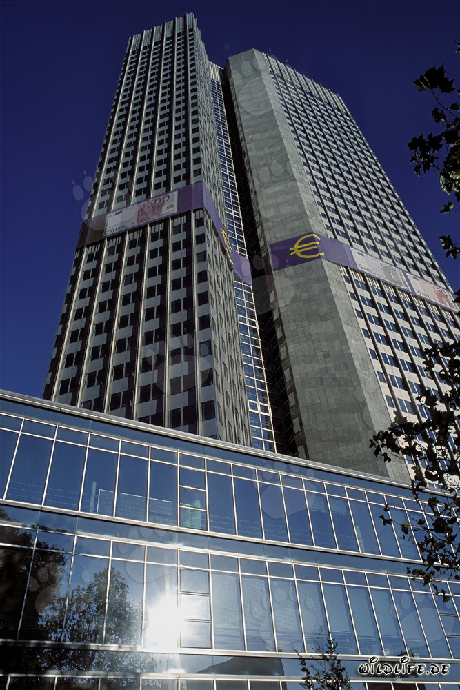 Europäische Zentralbank (EZB) - Eurotower Architektur in Frankfurt am Main