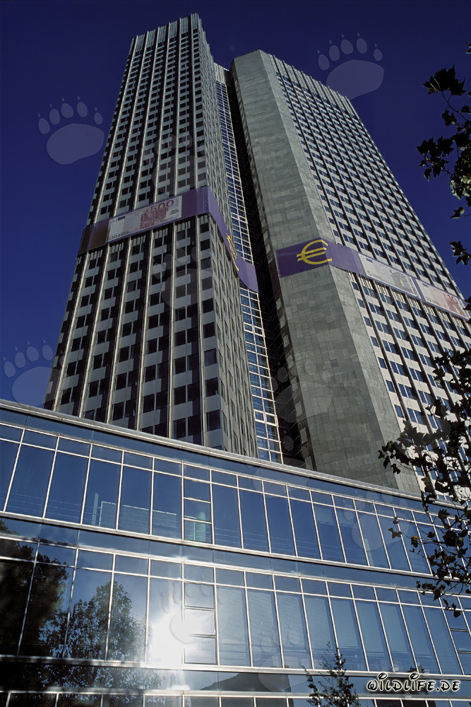 European Central Bank (ECB) - Eurotower Architecture in Frankfurt am Main