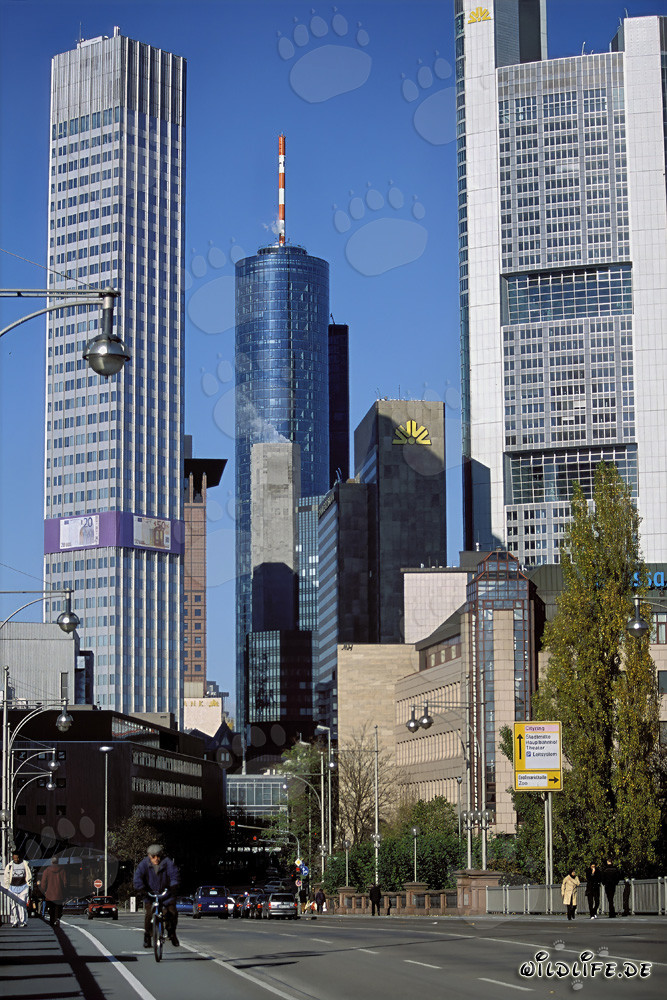Banco Central Europeo (BCE) - Eurotower en Fráncfort del Meno, Alemania