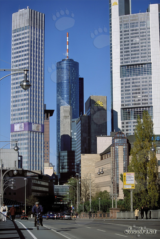 Europäische Zentralbank (EZB) - Eurotower in Frankfurt am Main, Deutschland