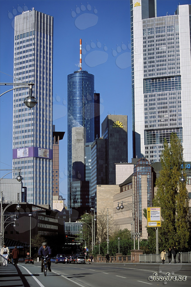 European Central Bank (ECB) - Eurotower in Frankfurt am Main, Germany
