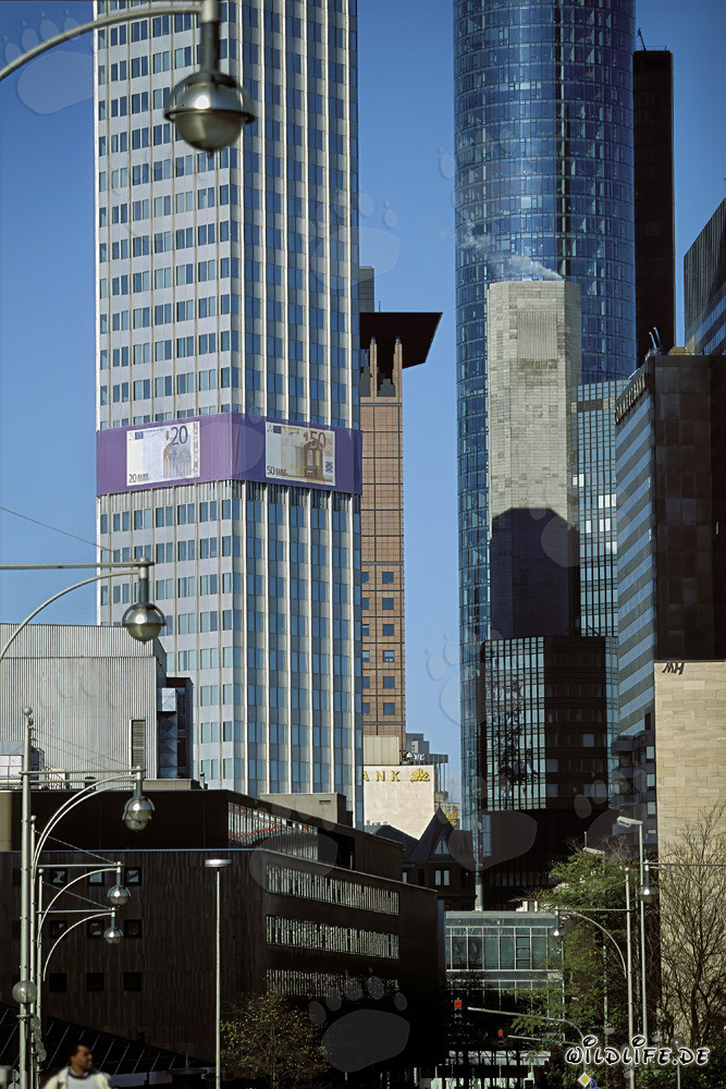 Banca Centrale Europea (BCE) - Architettura della torre Euro di notte