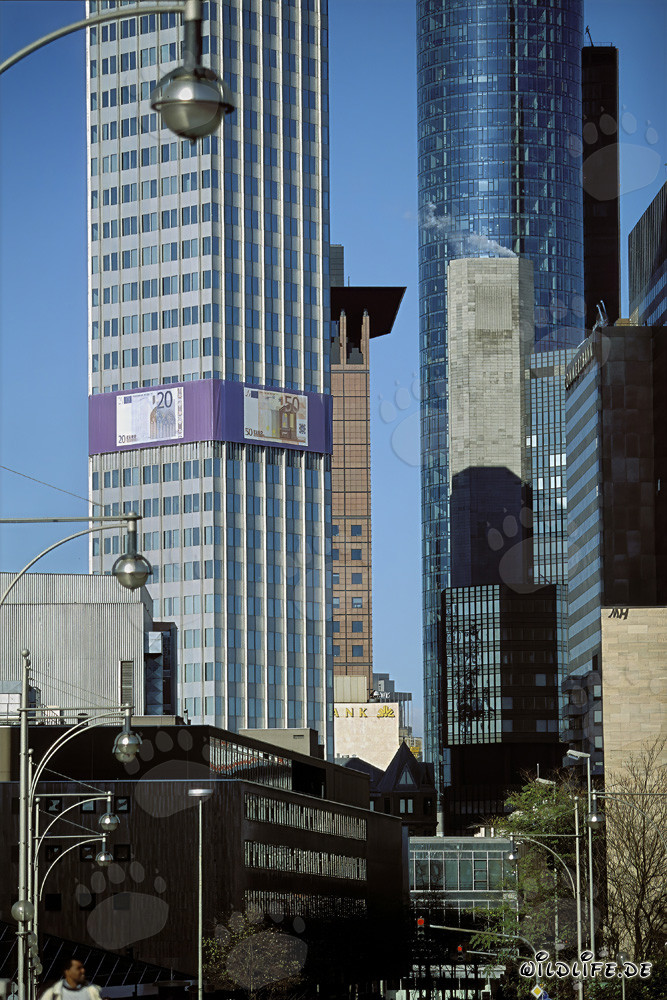Banque centrale européenne (BCE) - Architecture de la tour Euro la nuit
