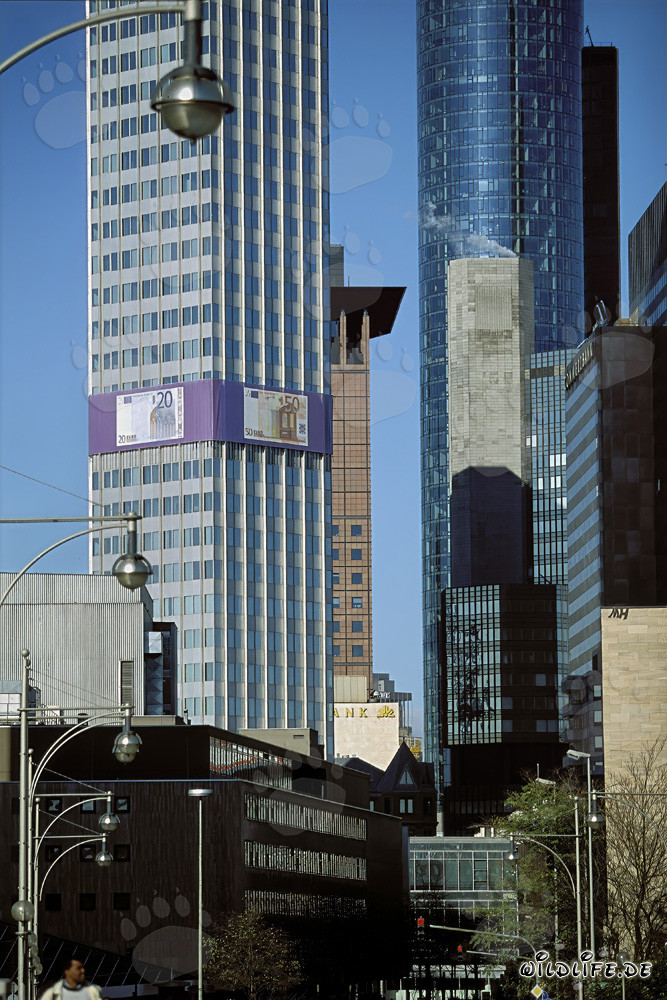 Europäische Zentralbank (EZB) - Eurotower Architektur bei Nacht