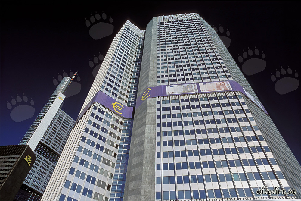 Banca Centrale Europea (BCE) - Torre Euro a Francoforte sul Meno