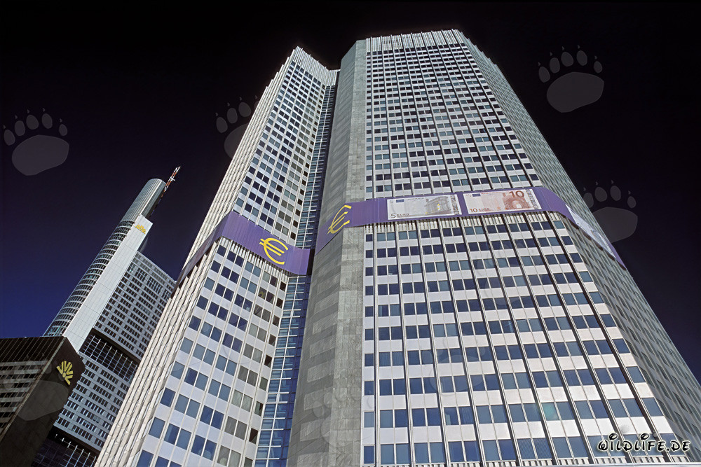 Europäische Zentralbank (EZB) - Eurotower in Frankfurt am Main