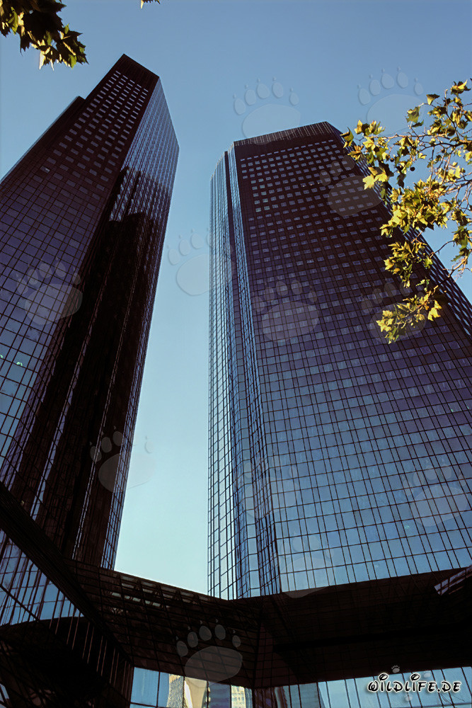 La sede della Deutsche Bank a Francoforte - Simbolo della città bancaria