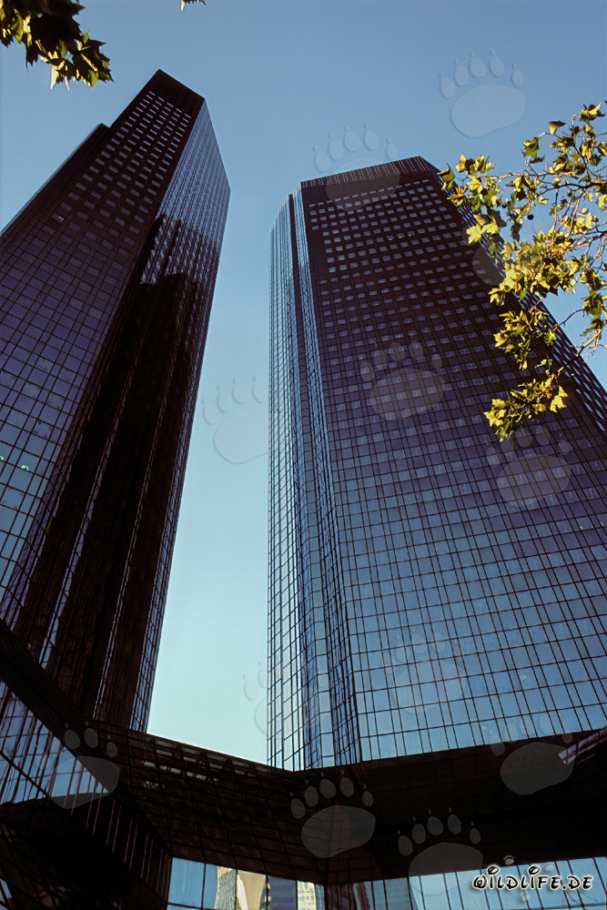 La sede de Deutsche Bank en Frankfurt - Símbolo de la ciudad bancaria