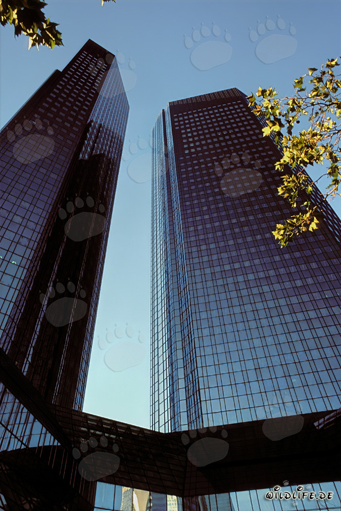 Le siège de la Deutsche Bank à Francfort - Symbole de la ville bancaire