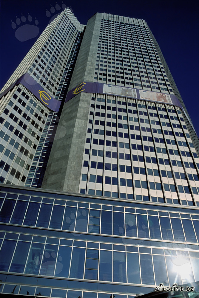 Banca Centrale Europea (BCE) - Eurotower a Francoforte sul Meno