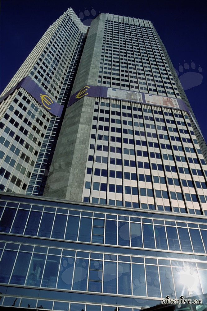Banco Central Europeo (BCE) - Eurotower en Frankfurt am Main