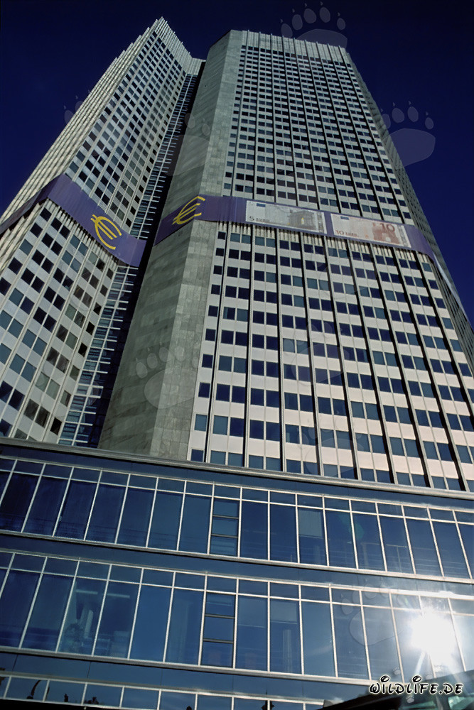 Europäische Zentralbank (EZB) - Eurotower in Frankfurt am Main