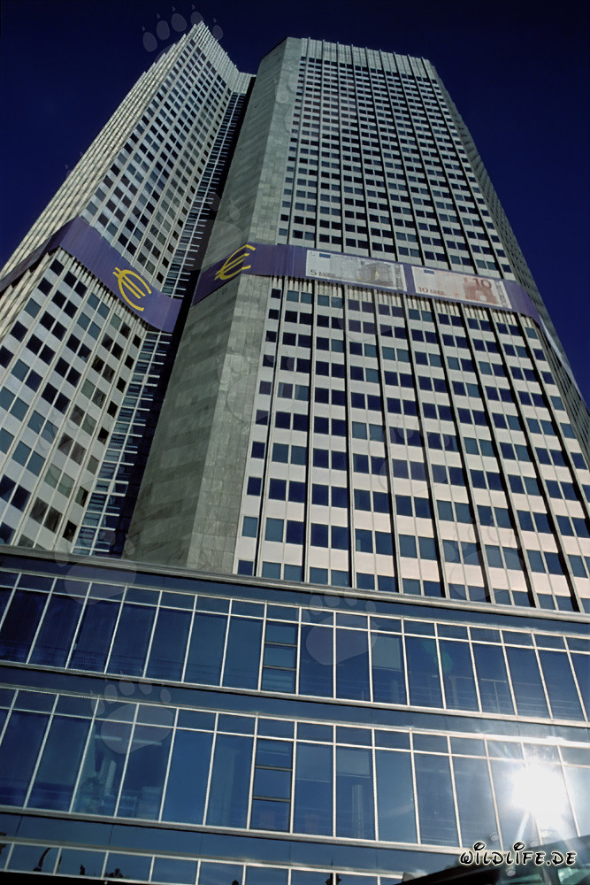 European Central Bank (ECB) - Eurotower in Frankfurt am Main