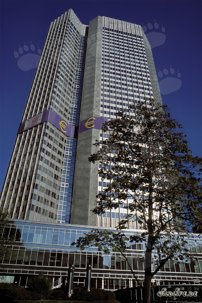 Banque centrale européenne (BCE) - Tour de l'euro à Francfort-sur-le-Main