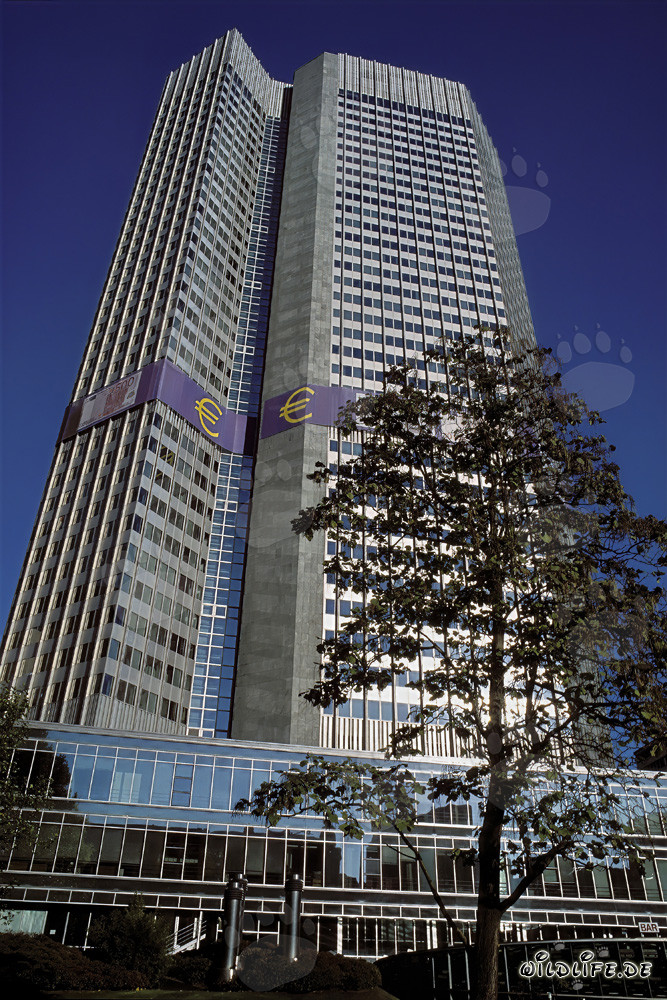 Europäische Zentralbank (EZB) - Eurotower in Frankfurt am Main