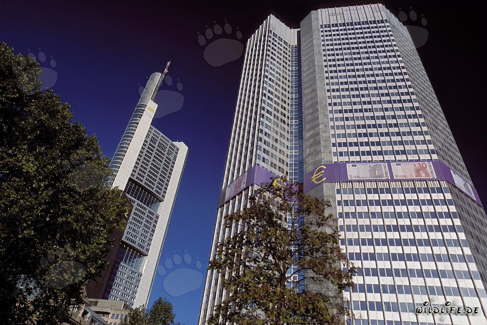 Banca Centrale Europea (BCE) - Eurotower a Francoforte sul Meno