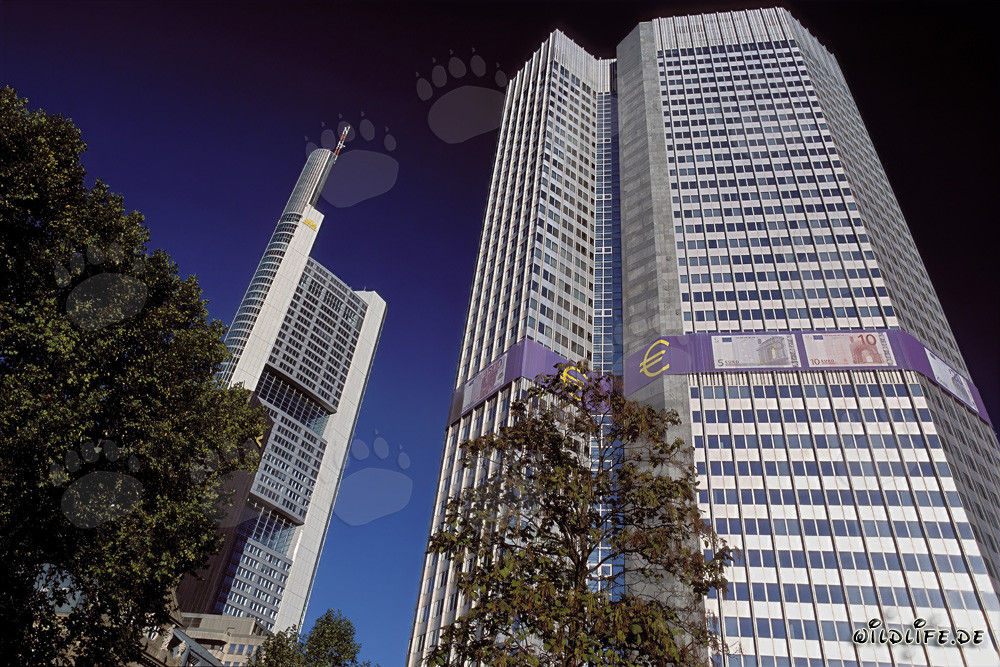 Banco Central Europeo (BCE) - Eurotower en Frankfurt am Main