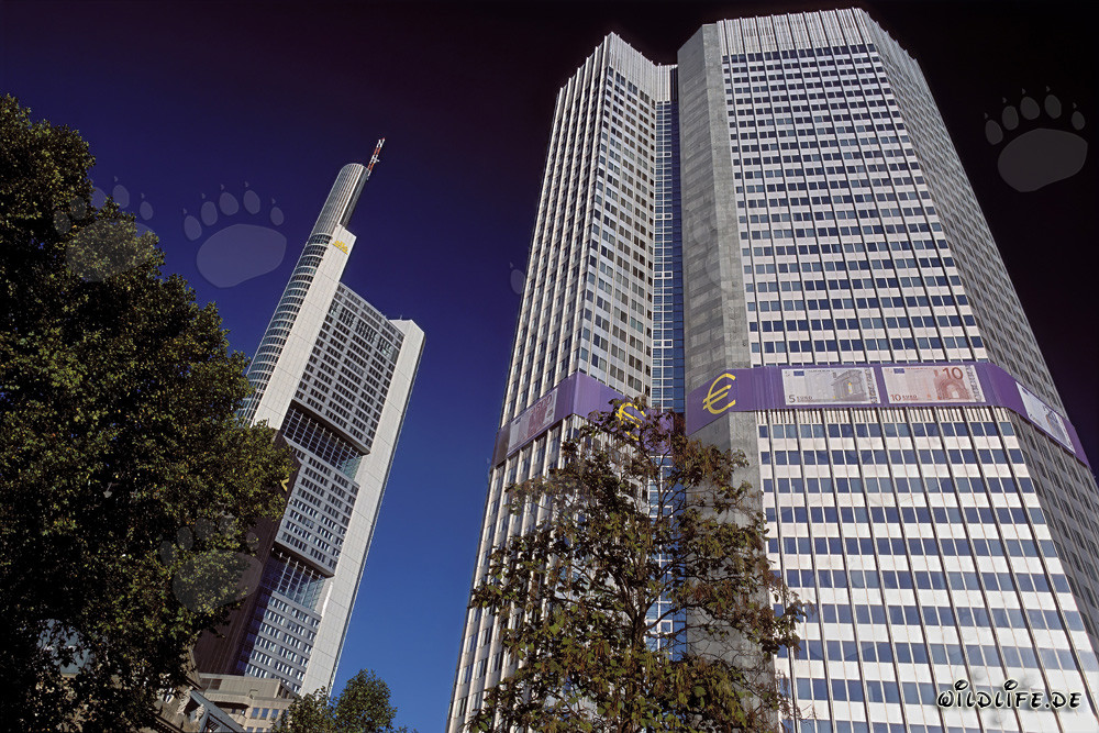 Banque centrale européenne (BCE) - Eurotower à Francfort-sur-le-Main