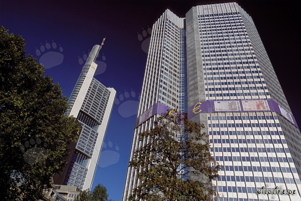 Europäische Zentralbank (EZB) - Eurotower in Frankfurt am Main