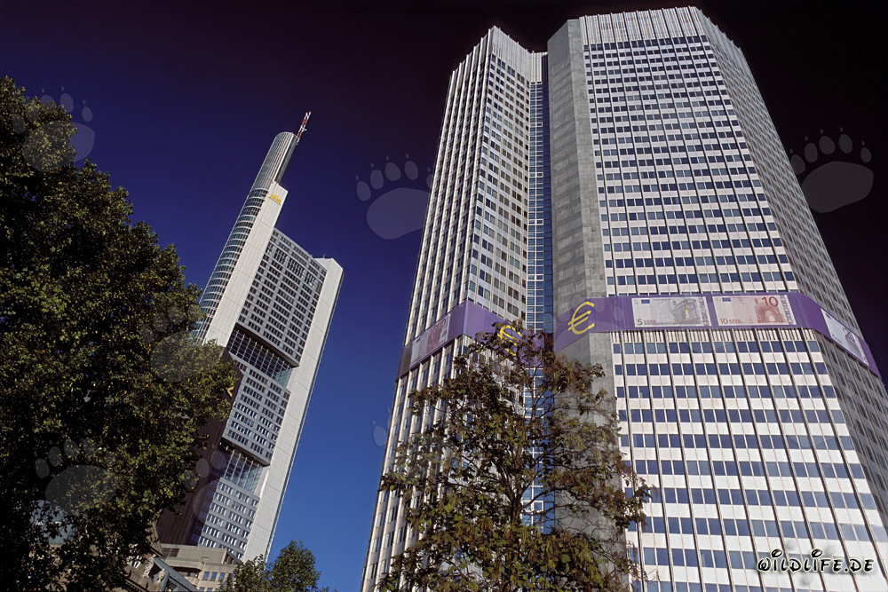 European Central Bank (ECB) - Eurotower in Frankfurt am Main