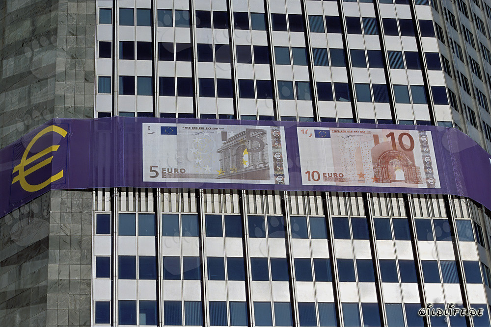 Banque centrale européenne (BCE) - Architecture de la tour Euro au coucher du soleil