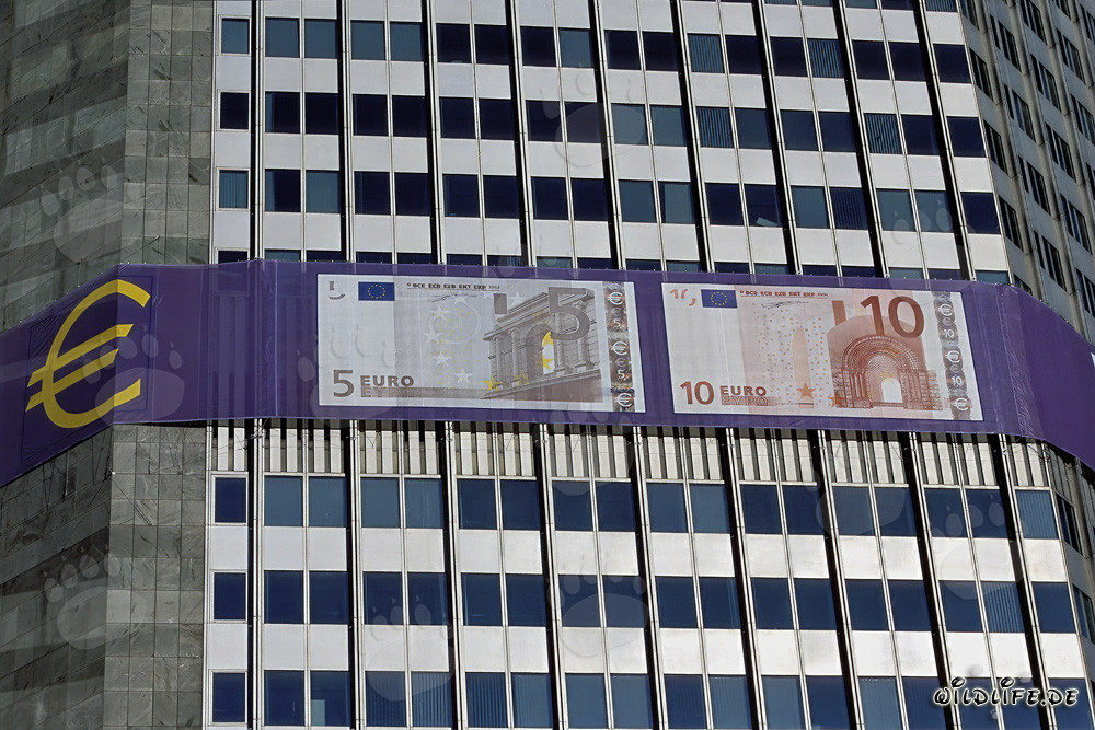 European Central Bank (ECB) - Eurotower Architecture at Sunset