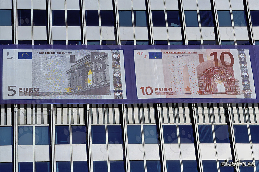Banca Centrale Europea (BCE) - Eurotower a Francoforte sul Meno, Germania