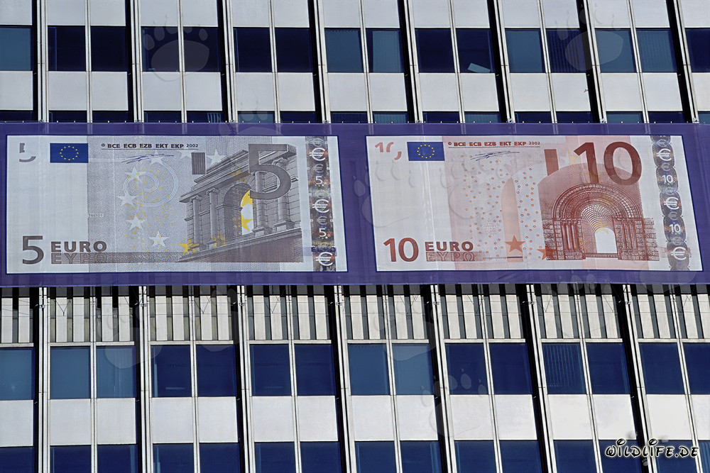 Banco Central Europeo (BCE) - Eurotower en Frankfurt am Main, Alemania