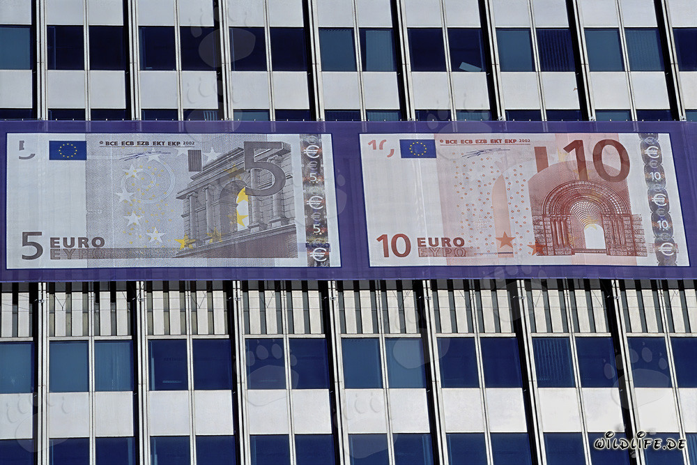 European Central Bank (ECB) - Eurotower in Frankfurt, Germany