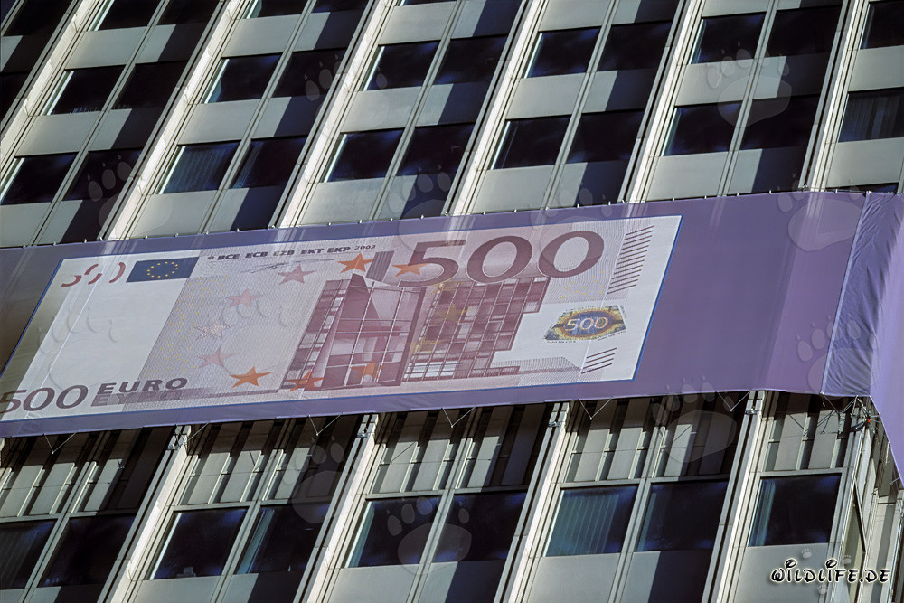 Banco Central Europeo (BCE) - Eurotower en Frankfurt am Main, Alemania