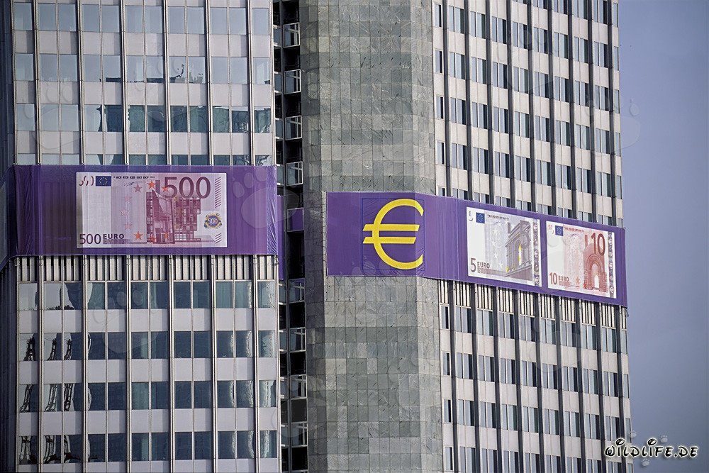Fotografia della Banca Centrale Europea (BCE) - Eurotower a Francoforte sul Meno