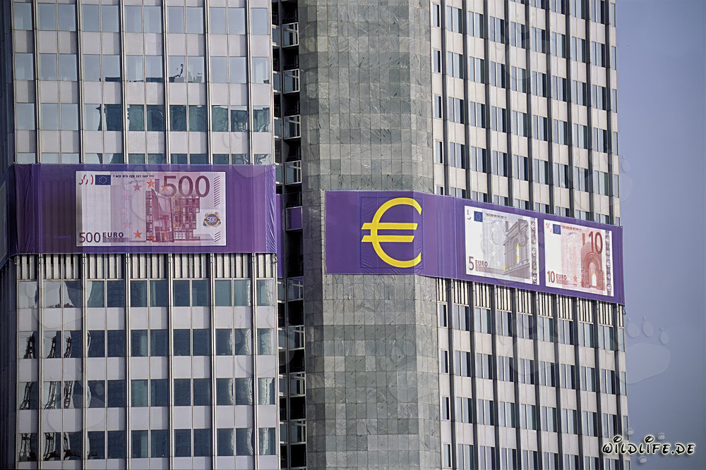 Photograph of the European Central Bank (ECB) - Eurotower in Frankfurt