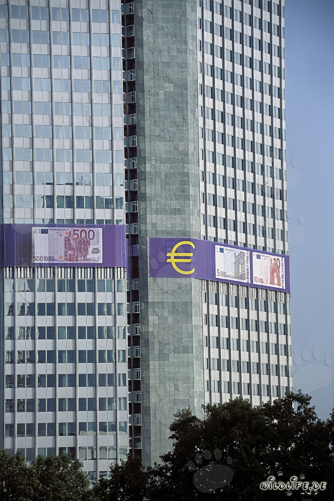 Banca Centrale Europea Francoforte - Simbolo dell'economia europea e della stabilità
